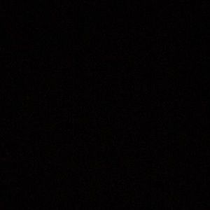 Meet your Posher, Jackson